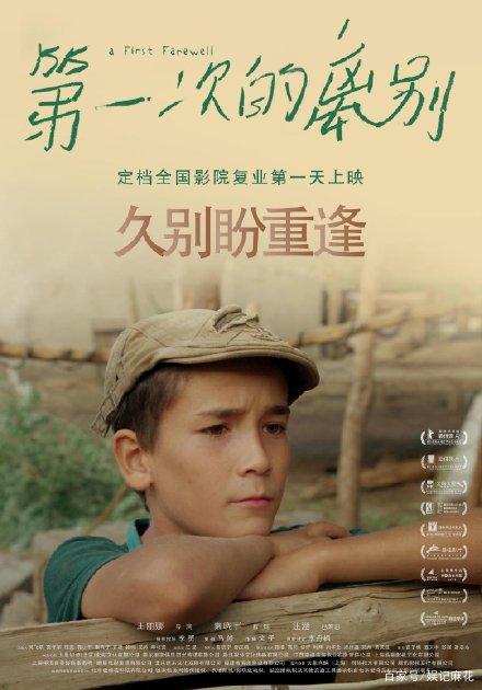海牙国际法学院证书